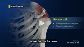 Rotator Cuff Tear